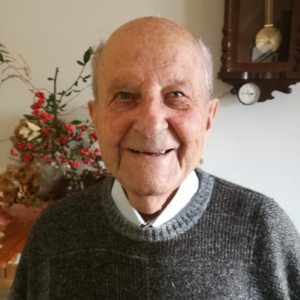 don Stefani Alfonso